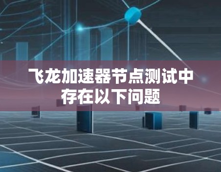 飞龙加速器节点测试中存在以下问题