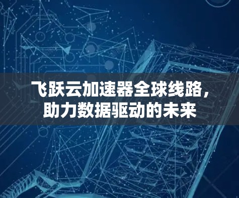 飞跃云加速器全球线路，助力数据驱动的未来