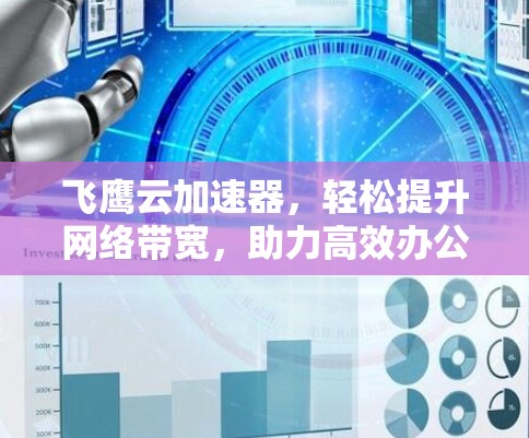 飞鹰云加速器，轻松提升网络带宽，助力高效办公与娱乐