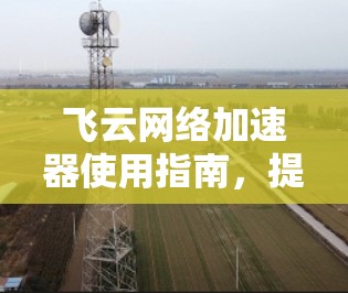 飞云网络加速器使用指南，提升网络速度的高效工具