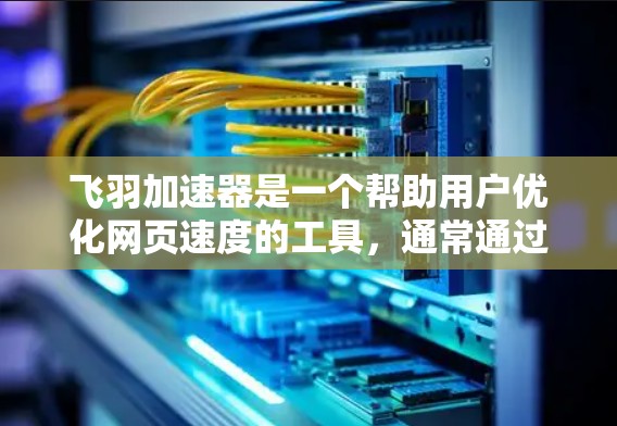 飞羽加速器是一个帮助用户优化网页速度的工具，通常通过软件实现。以下是下载和使用飞羽加速器的步骤