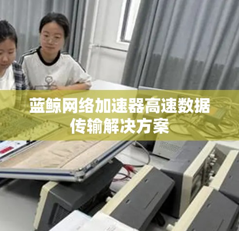 蓝鲸网络加速器高速数据传输解决方案