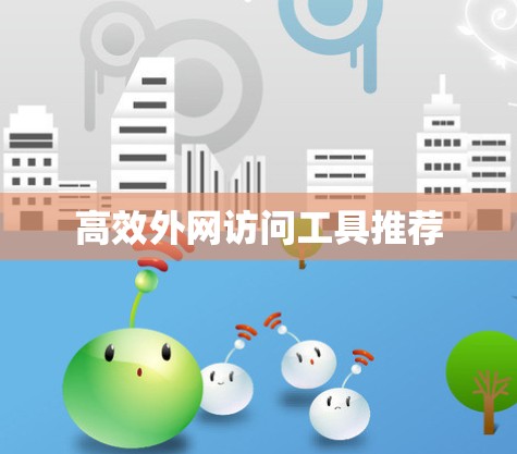 高效外网访问工具推荐
