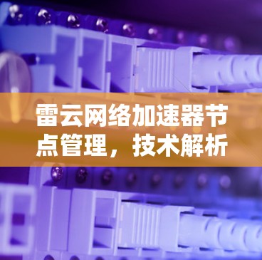 雷云网络加速器节点管理，技术解析与优化建议