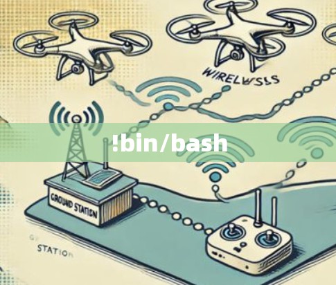 !bin/bash