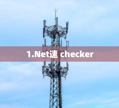 1.Net速 checker