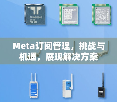 Meta订阅管理，挑战与机遇，展现解决方案