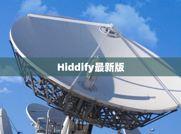 Hiddify最新版