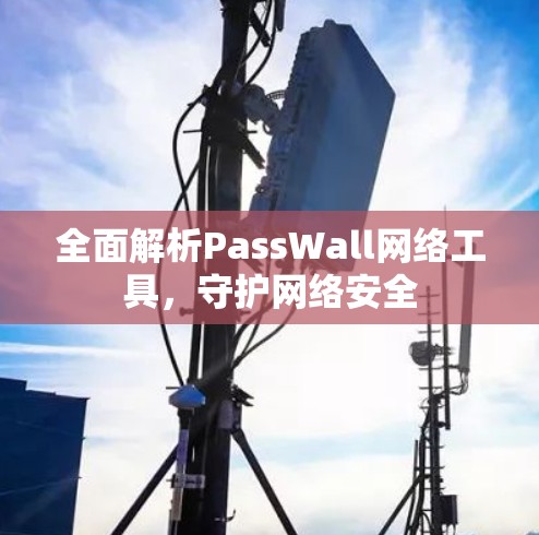 全面解析PassWall网络工具，守护网络安全