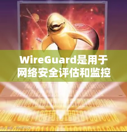 WireGuard是用于网络安全评估和监控的工具，基于ZK-SNARKs协议。以下是详细的步骤指南