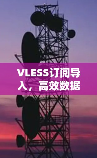 VLESS订阅导入，高效数据传输的解决方案