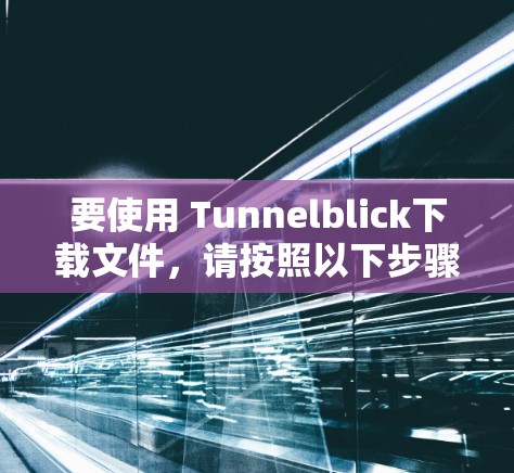 要使用 Tunnelblick下载文件，请按照以下步骤操作