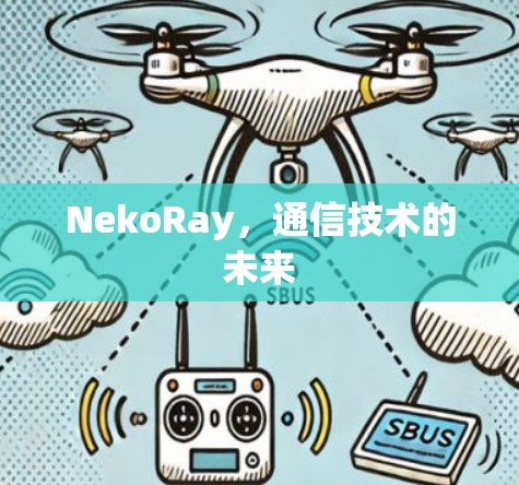 NekoRay，通信技术的未来