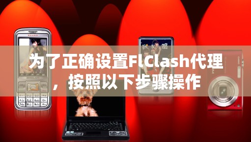 为了正确设置FlClash代理，按照以下步骤操作