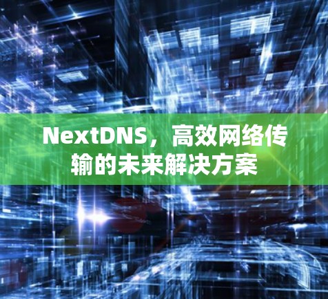 NextDNS，高效网络传输的未来解决方案