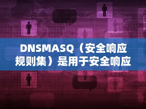 DNSMASQ（安全响应规则集）是用于安全响应的规则，用于管理DDoS攻击等安全威胁。以下是详细的规则设置步骤和内容