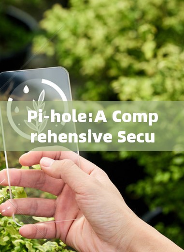 Pi-hole:A Comprehensive Security Solution