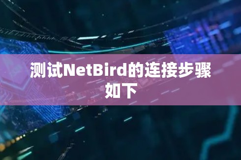 测试NetBird的连接步骤如下 测试NetBird的连接步骤如下