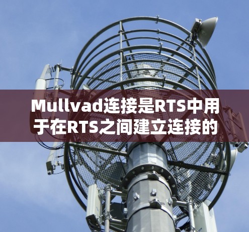 Mullvad连接是RTS中用于在RTS之间建立连接的工具，常用于构建用户界面。以下是其详细设置步骤
