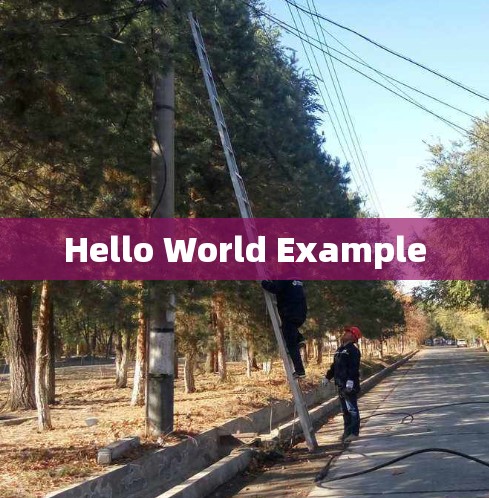 Hello World Example