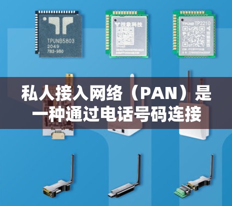 私人接入网络（PAN）是一种通过电话号码连接到互联网的方式，允许用户在没有本地互联网的情况下访问互联网服务。以下是对PAN的详细介绍和操作指南