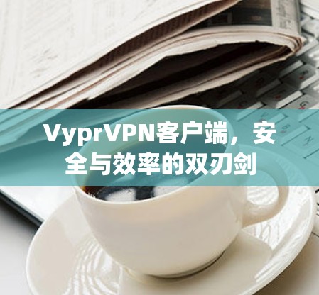 VyprVPN客户端，安全与效率的双刃剑