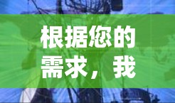 根据您的需求，我整理了以下关于网络VPN软件的建议