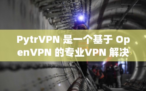 PytrVPN 是一个基于 OpenVPN 的专业VPN 解决方案，旨在提供安全、个性化的网络访问体验。以下是一个详细的配置教程，帮助你顺利配置 PytrVPN