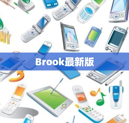 Brook最新版