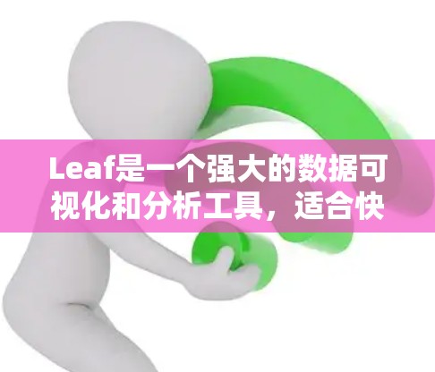 Leaf是一个强大的数据可视化和分析工具，适合快速进行数据分析和数据处理。以下是使用Leaf配置的基本步骤