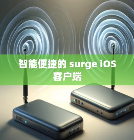 智能便捷的 surge iOS客户端