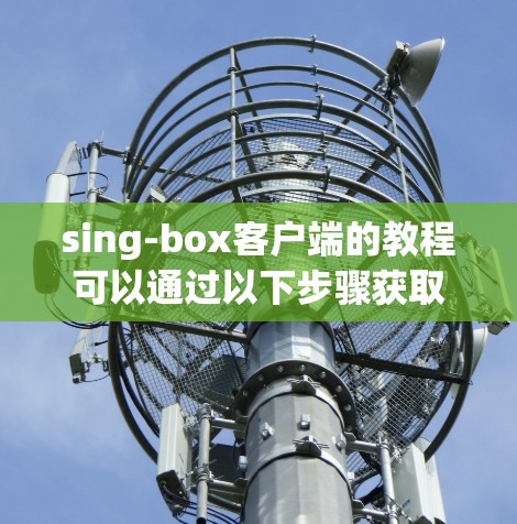 sing-box客户端的教程可以通过以下步骤获取 sing-box客户端的教程可以通过以下步骤获取
