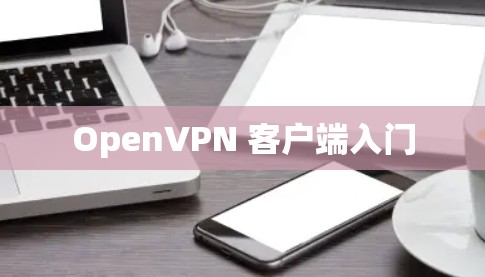 OpenVPN 客户端入门 OpenVPN 客户端入门