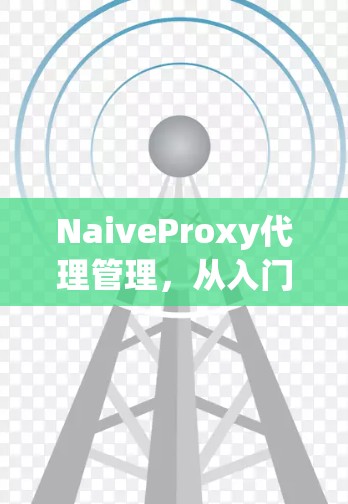 NaiveProxy代理管理，从入门到优化