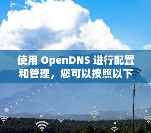 使用 OpenDNS 进行配置和管理，您可以按照以下步骤进行