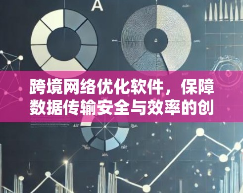 跨境网络优化软件，保障数据传输安全与效率的创新解决方案