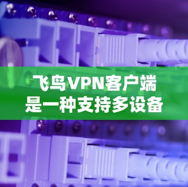 飞鸟VPN客户端是一种支持多设备使用的VPN应用，旨在提供安全、便捷的VPN服务。以下是关于飞鸟VPN客户端的一些关键信息