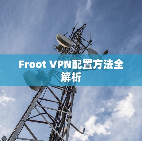 Froot VPN配置方法全解析