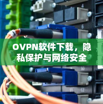 OVPN软件下载，隐私保护与网络安全的完美结合