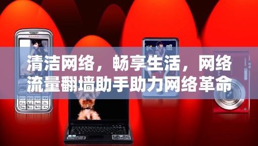 清洁网络，畅享生活，网络流量翻墙助手助力网络革命