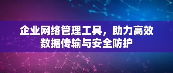 企业网络管理工具，助力高效数据传输与安全防护