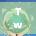 Twingate 是一个基于区块链的技术，用于通信和数据传输的工具。以下是对Twingate的详细介绍，帮助你更好地理解和使用该网络