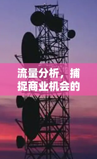 流量分析，捕捉商业机会的玻璃之镜