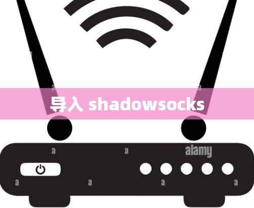 导入 shadowsocks