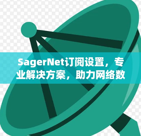 SagerNet订阅设置，专业解决方案，助力网络数字化